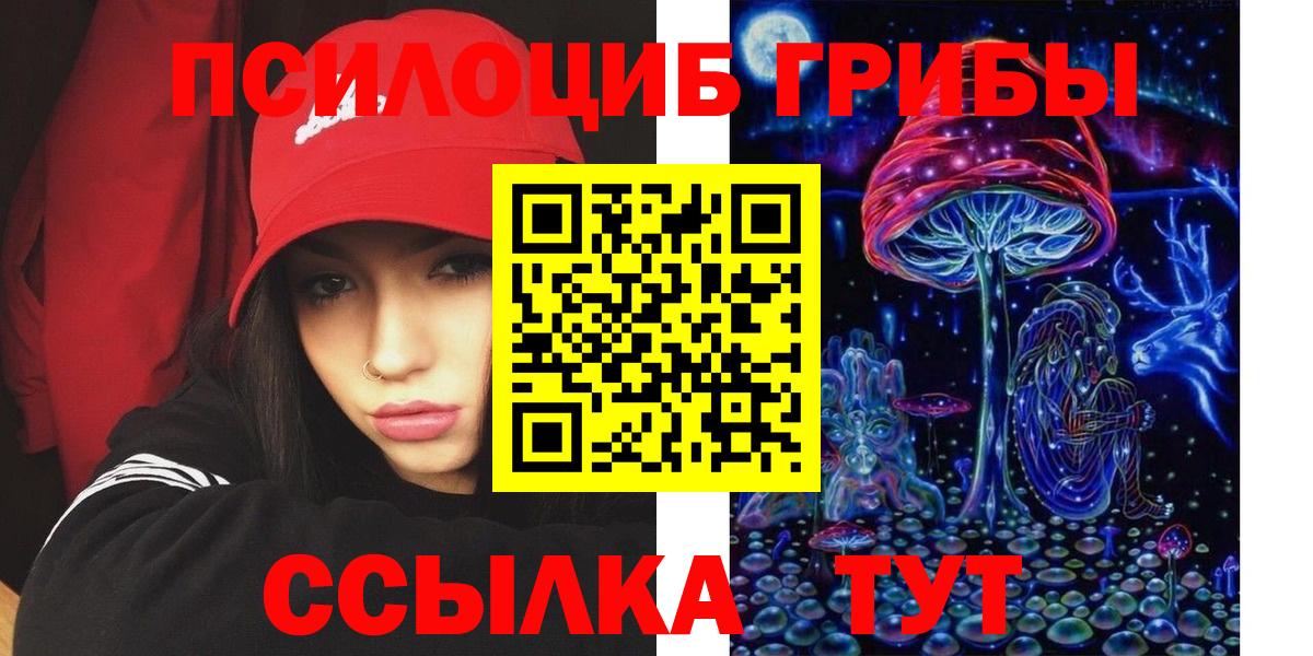 Псилоцибиновые грибы прущие грибы Йошкар-Ола